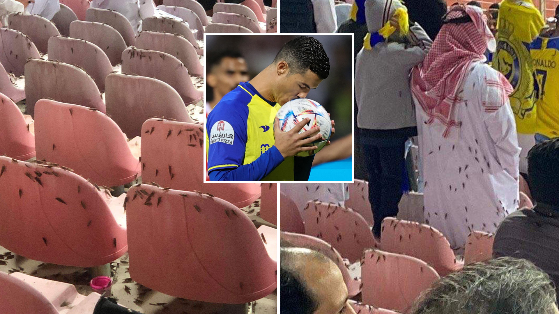 Cristiano Ronaldo’s Al-Nassr clash with Al-Wehda hit by huge swarm of LOCUST before Man Utd icon smashed in four goals