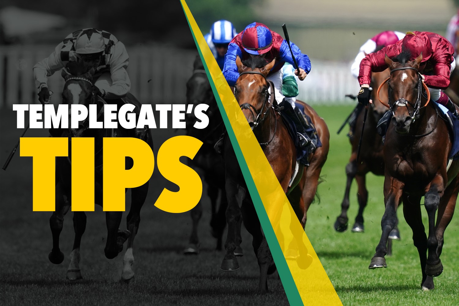 Horse racing tips: Templegate’s NAP travels like a machine and looks open to heaps of improvement